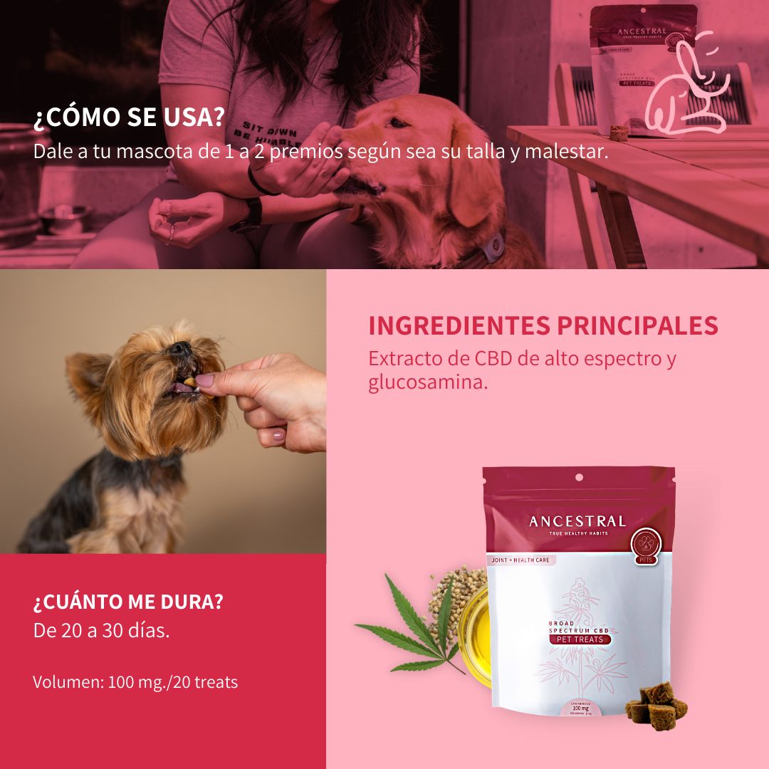 Premios Mascotas 100 mg CBD